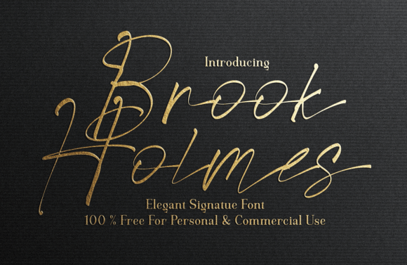 Brook Holmes Script Font for Modern Brand Campaigns