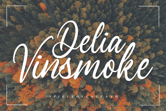Delia Vinsmoke: A Magical Script Font for Elegant Campaign Visuals
