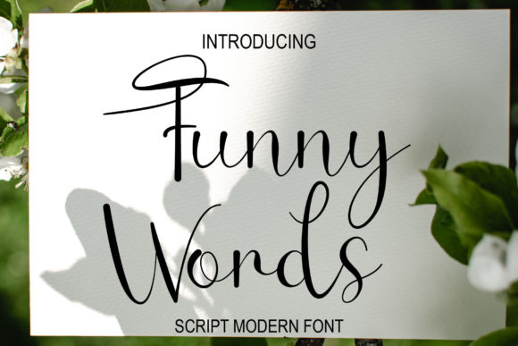 Funny Words: A Script Font for Elegant Editorial Design