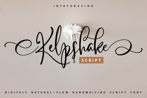 Kelpshake Script Font for Editorial Design and Creative Publishing