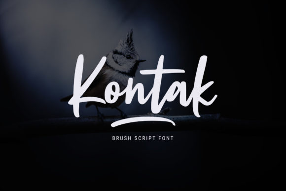 Kontak Script Font for Polished Branding and Packaging