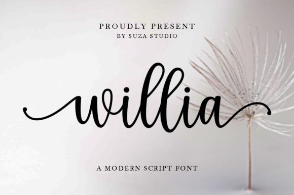 Willia: A Script Font That Elevates Your Craft Projects