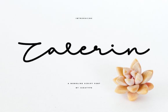 Zalerin: A Script Font That Elevates Branding with Grace